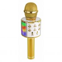 MAX KM15G Karaoke-Mikrofon mit eingebauten LEDs, Lautsprecher, Bluetooth und MP3 – gold